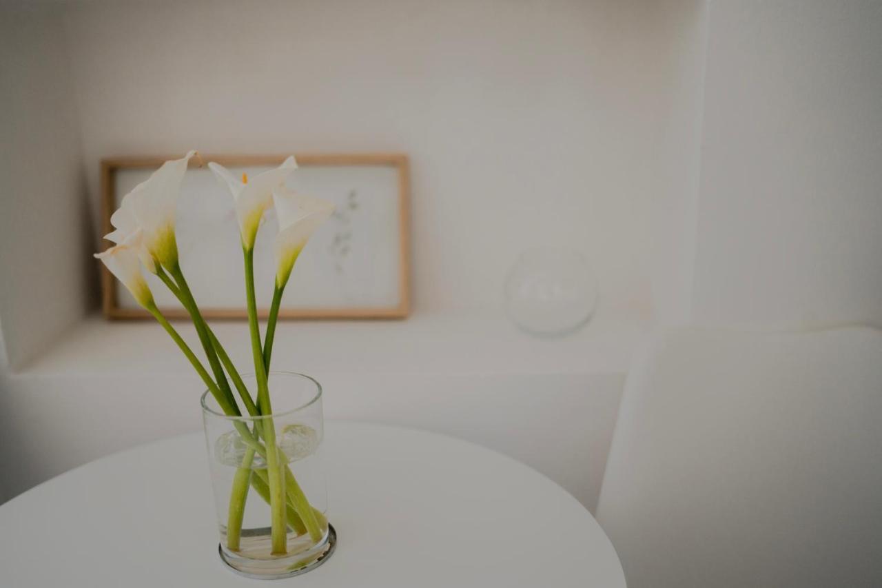 Riverland - Lovely Apartment מוסטר מראה חיצוני תמונה